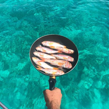 Il Cubo, monovano col mare su tre fronti. Favignana Esterno foto
